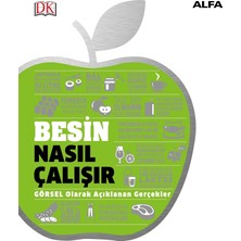 Str Store Besin Nasıl Çalışır (Ciltli): Görsel Olarak Açıklanan Gerçekler