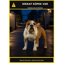Ti Play Dikkat Köpek Var Ingiliz Bulldog Görselli Pvc Uyarı Levhası 35X50CM