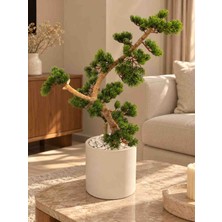 Yapay Bonsai Ağacı