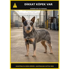 Ti Play Dikkat Köpek Var Avustralya Sığır Köpeği Görselli Pvc Uyarı Levhası 50X70CM