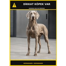 Ti Play Dikkat Köpek Var Weimaraner Görselli Pvc Uyarı Levhası 35X50CM