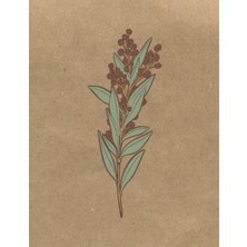 Toptan Budur Materia Medica Herbalist Journal: A Personal Herb Tracking Notebook; Botanical Cover Design, Dıy Bo