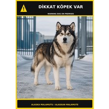 Ti Play Dikkat Köpek Var Alaska Malamutu Görselli Pvc Uyarı Levhası 50X70CM