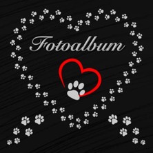 Toptan Budur Köpek ve Kedi Fotoğraf Albümü, Evcil Hayvan Hatıra Defteri, Sw 02