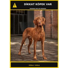 Ti Play Dikkat Köpek Var Vizsla Görselli Pvc Uyarı Levhası 35X50CM