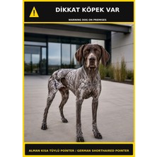 Ti Play Dikkat Köpek Var Alman Kısa Tüylü Pointer Görselli Pvc Uyarı Levhası 35X50CM