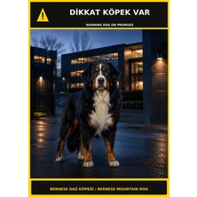 Ti Play Dikkat Köpek Var Bernese Dağ Köpeği Görselli Pvc Uyarı Levhası 21X30CM