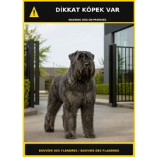 Ti Play Dikkat Köpek Var Bouvier Des Flandres Görselli Pvc Uyarı Levhası 35X50CM