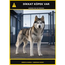 Ti Play Dikkat Köpek Var Sibirya Kurdu Görselli Pvc Uyarı Levhası 50X70CM