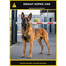 Ti Play Dikkat Köpek Var Belçika Malinois Görselli Pvc Uyarı Levhası 21X30CM