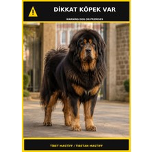Ti Play Dikkat Köpek Var Tibet Mastiff Görselli Pvc Uyarı Levhası 35X50CM