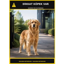 Ti Play Dikkat Köpek Var Golden Retriever Görselli Pvc Uyarı Levhası 21X30CM