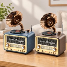 Akıllı Bayi Retro Gramofon Radyo Bluetooth USB Şarjlı (Am/fm/sw)