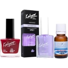 Toptan Budur Oje 208 + Oje Kurutucu Sprey 17 ml + Oje Çözücü