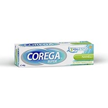 Toptan Budur Super Protez Yapıştırıcı Krem Naneli 40 G