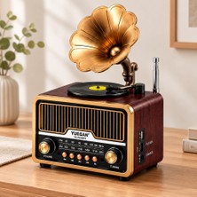 TKÇ Retro Gramofon Radyo Bluetooth USB Şarjlı (Am/fm/sw) Ab