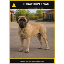 Ti Play Dikkat Köpek Var Ingiliz Mastiff Görselli Pvc Uyarı Levhası 50X70CM
