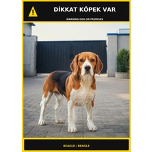Ti Play Dikkat Köpek Var Beagle Görselli Pvc Uyarı Levhası 21X30CM