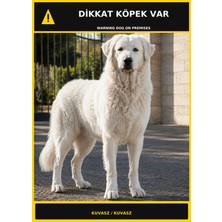 Ti Play Dikkat Köpek Var Kuvasz Görselli Pvc Uyarı Levhası 50X70CM
