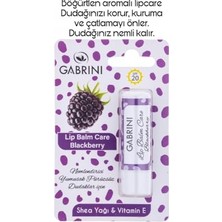 Toptan Budur Meyveli Lip Balm Care Blackberry