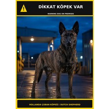 Ti Play Dikkat Köpek Var Hollanda Çoban Köpeği Görselli Pvc Uyarı Levhası 35X50CM