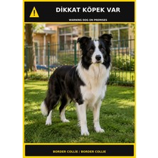 Ti Play Dikkat Köpek Var Border Collie Görselli Pvc Uyarı Levhası 35X50CM