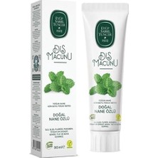 Toptan Budur Doğal Nane Özlü Diş Macunu 90 ml