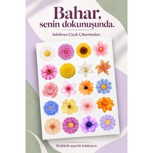 Hanelia Art Çiçek Sticker Seti – Renkli Çiçek Çıkartmaları – Hediye Paketi, Defter, Ajanda ve Dekoratif Etiket