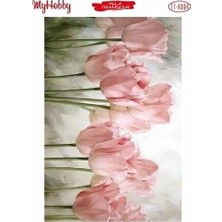 Str Store Telatransfer TT-K004 25X35CM