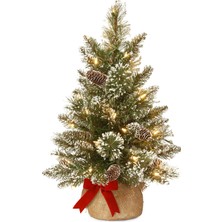 Str Store Önceden Aydınlatılmış Yapay Mini Noel Ağacı | Küçük LED Işıklar, Beyaz Uçlu, Parıltılı Dallar Koniler ve Bez Çanta Tabanı | Parlak Kıl Çam-2, 2 Ayak, Yeşil