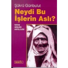 Berfin Yayınları Neydi Bu Işlerin Aslı?