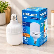 Str Store 20 W LED Torch Ampul