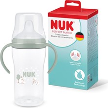 Str Store Pm Eğitici Alıştırma Bardağı, 260 Ml, Koyun