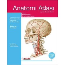 Str Store Anatomi Atlası Gilroy (Ciltli)