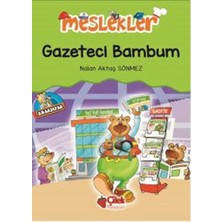 Gazeteci Bambum / Meslekler