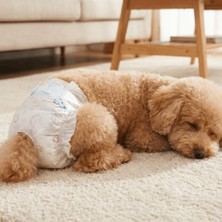 Munico 10 Adet Small Ayarlanabilir Köpek Fizyolojik Pantolonu Süper Emici Tek Kullanımlık Bezler Köpek