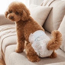 Munico 10 Adet Xsmall Ayarlanabilir Nefes Alabilir Köpek Fizyolojik Pantolonları Tuvalet Eğitimi Yardımcı