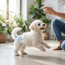 Munico 10 Adet Xsmall Tek Kullanımlık Köpek Bezi Sızdırmaz Köpek Pedleri Tüm Irklara Uyar Evcil Hayvan