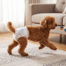 Munico 50 Adet Large Süper Emici Dişi Köpek Bezleri Nefes Alabilen Karikatür Baskılı Tek Kullanımlık Bez
