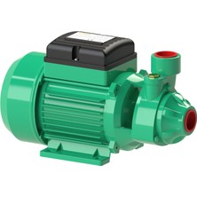 Troy HM150 1 Hp Preferikal Su Pompası 220V