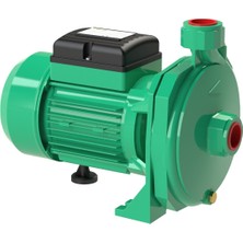 Troy HM10 1 Hp Santrifüj Pompa 220V