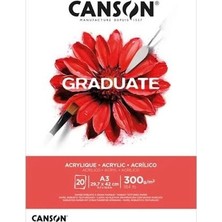 Canson Graduate Akrilik - Yağlıboya Defteri 300GR A4 20 Yaprak
