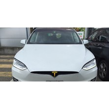 Tesla Model x Ön Amblem