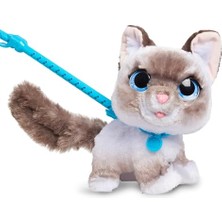 Toptan Budur Oyuncak; Wag-A-Lots Kitty Interaktif, 20 cm Büyüklüğünde, Ses Efektli Zıplayan Pelüş Kedi, Y