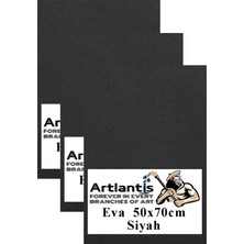 Toptan Budur Siyah Eva Süngeri, 50X70 Cm, 3 Adet