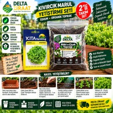 Delta Ziraat Kıvırcık Marul Yetiştirme Seti – Marul Tohumu + 1,5 kg Bitki ve Çiçek Toprağı – 2’li Takım