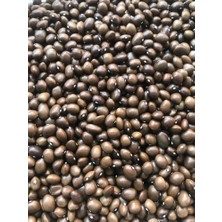 Yerli Boncuk Ayşe Sırık Fasulye Tohumu 100 gr