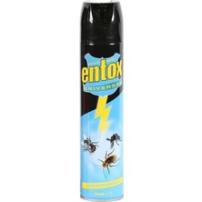 Str Store 300 ml Sinek Ilacı