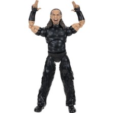 Aew Karakterleri Model Aksiyon Figürler S16 Matt Hardy 157