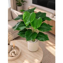 Dekoratif Yapay Salon Bitkisi – 70 cm